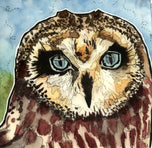 Blue Eyed Owl