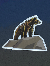 Climbing Bear Sticker