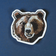 Bear Face Sticker