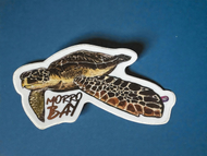 Morro Bay Arthur Sticker