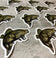 Bass Fish Sticker