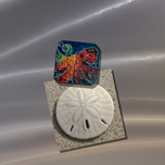 Spot Magnet