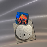 Suckers Magnet