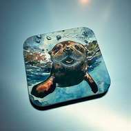 Walter Magnet