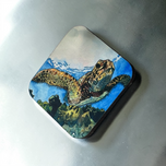 Edgar Magnet